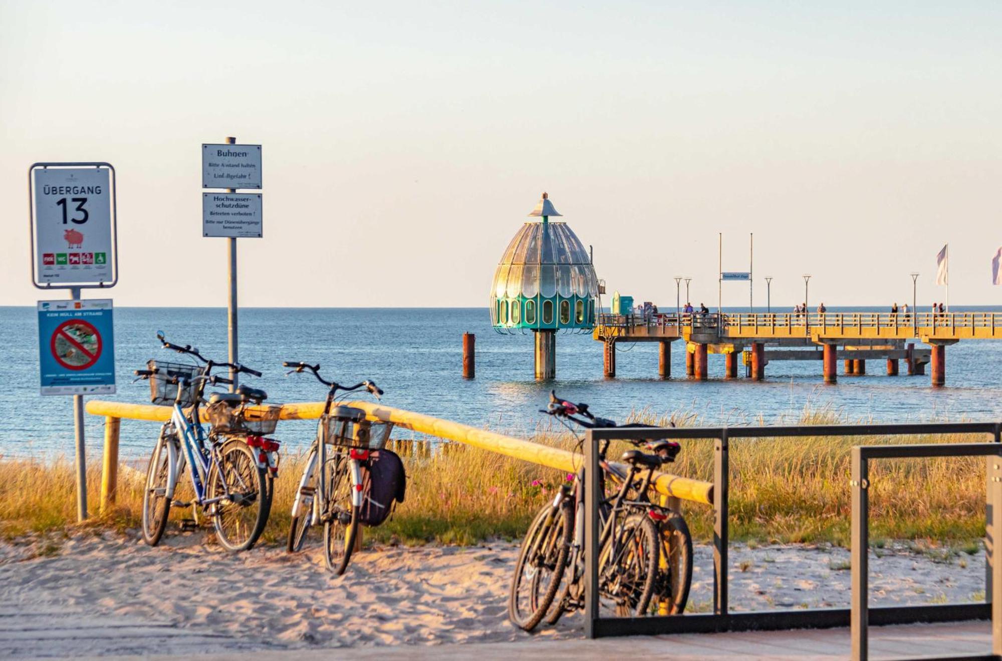Seehund An Der Seebruecke Zingst Zewnętrze zdjęcie